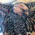 tattoo galleries/ - in progress  - 24561
